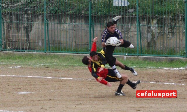 101031_Tiger 139x_tn.jpg
